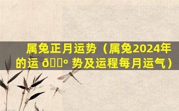 属兔正月运势（属兔2024年的运 🌺 势及运程每月运气）